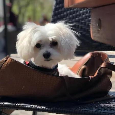 Daire White Sky 26 Hanza Tower Pool Jacuzzi Sauna *